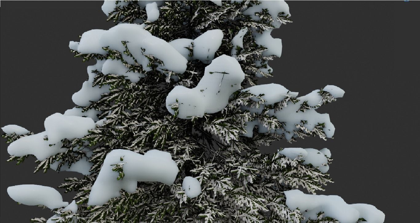 snow tree spruce 3D model_1