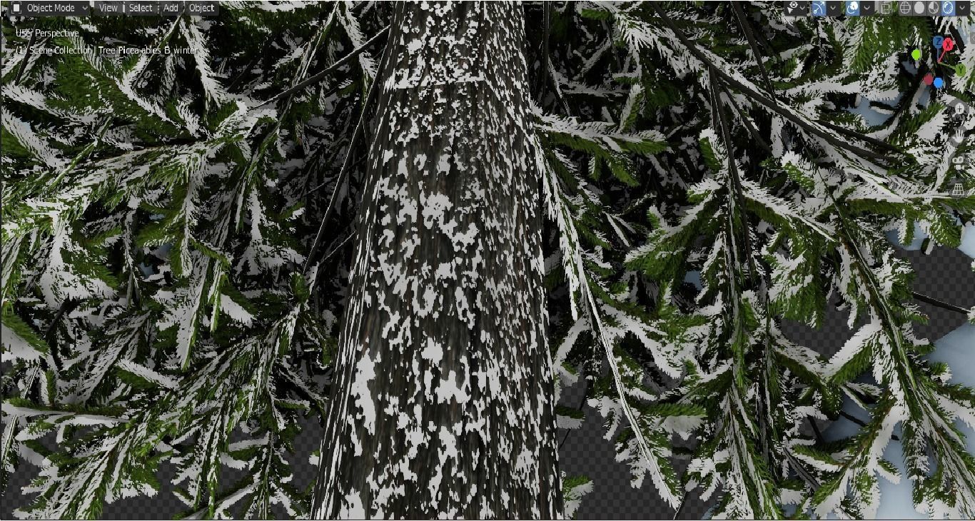 snow tree spruce 3D model_2