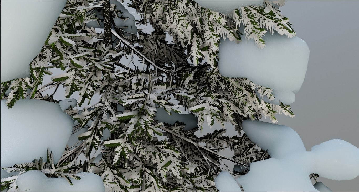 snow tree spruce 3D model_3