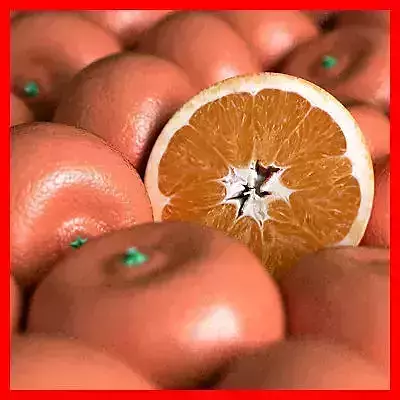 Orange Tangerine Mandarin Clementine 3D model Orange Tangerine Mandarin Clementine 3D model