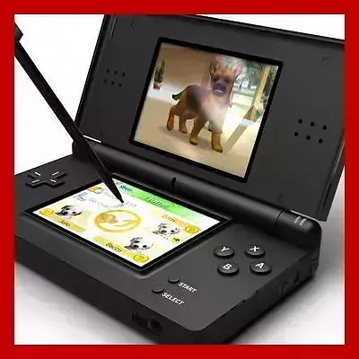 Nintendo DS Lite