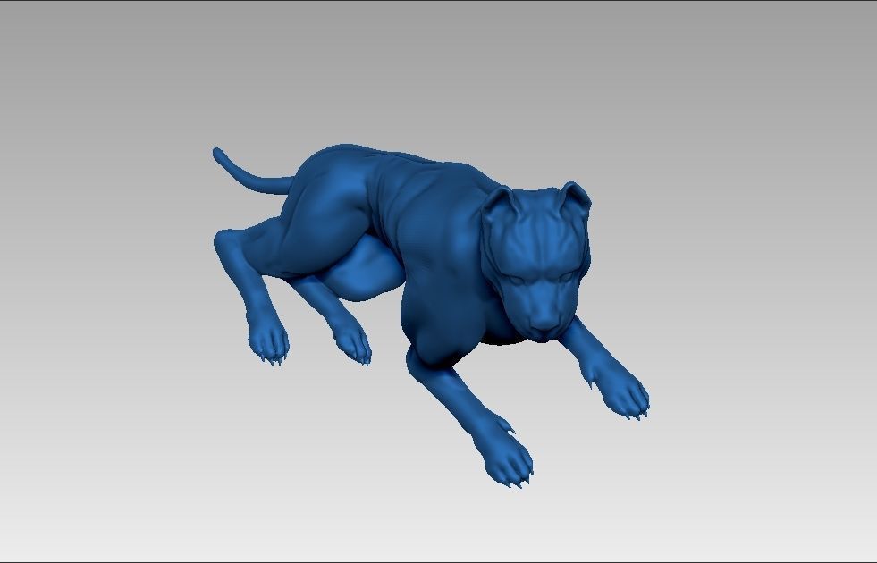 American pitbull terier sitting relaxed lying 3D print model_18