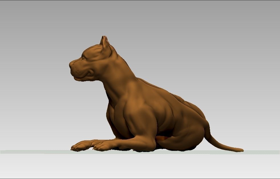 American pitbull terier sitting relaxed lying 3D print model_40