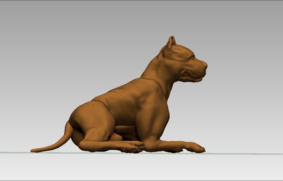 American pitbull terier sitting relaxed lying 3D print model_10