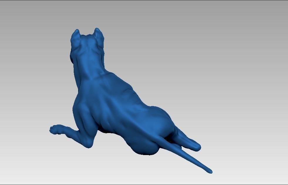 American pitbull terier sitting relaxed lying 3D print model_22