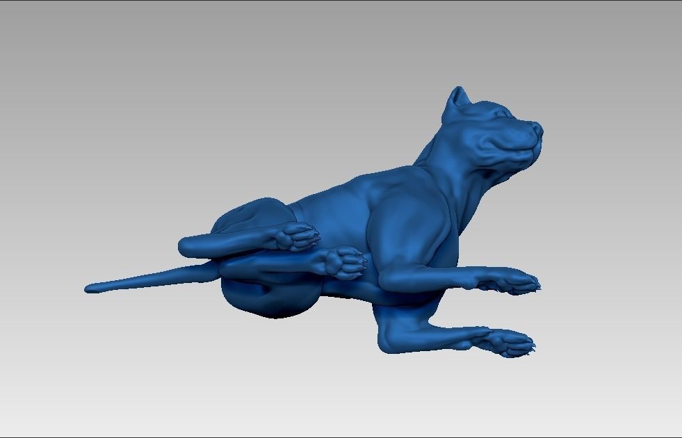 American pitbull terier sitting relaxed lying 3D print model_29