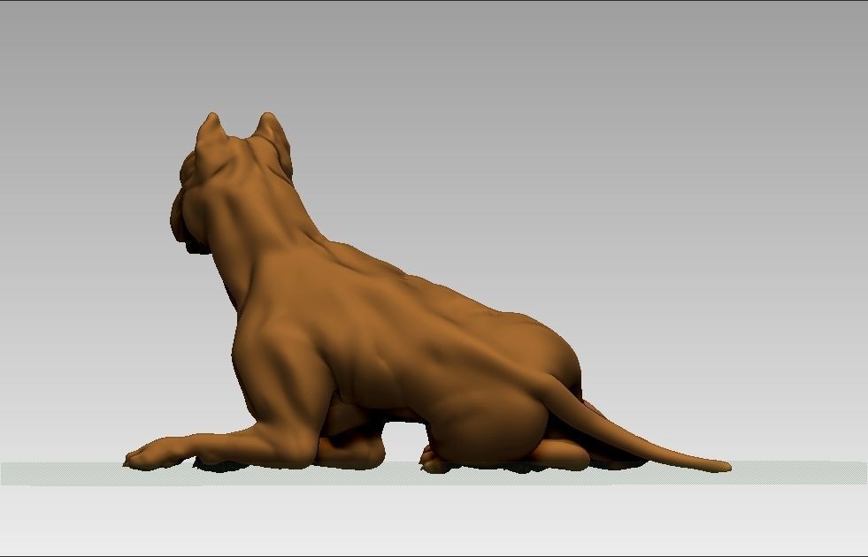 American pitbull terier sitting relaxed lying 3D print model_4