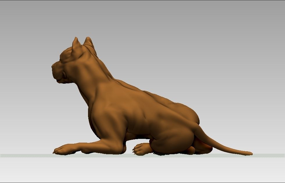 American pitbull terier sitting relaxed lying 3D print model_3