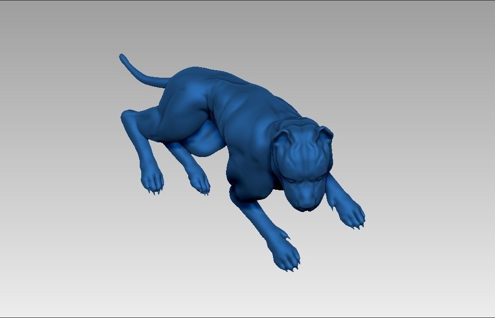 American pitbull terier sitting relaxed lying 3D print model_19