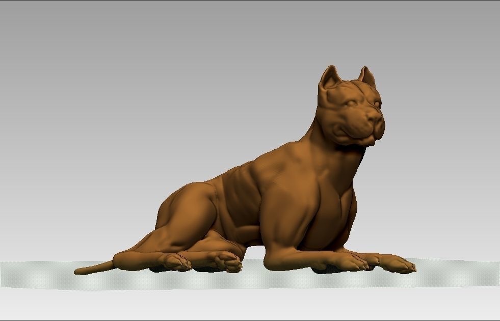 American pitbull terier sitting relaxed lying 3D print model_23