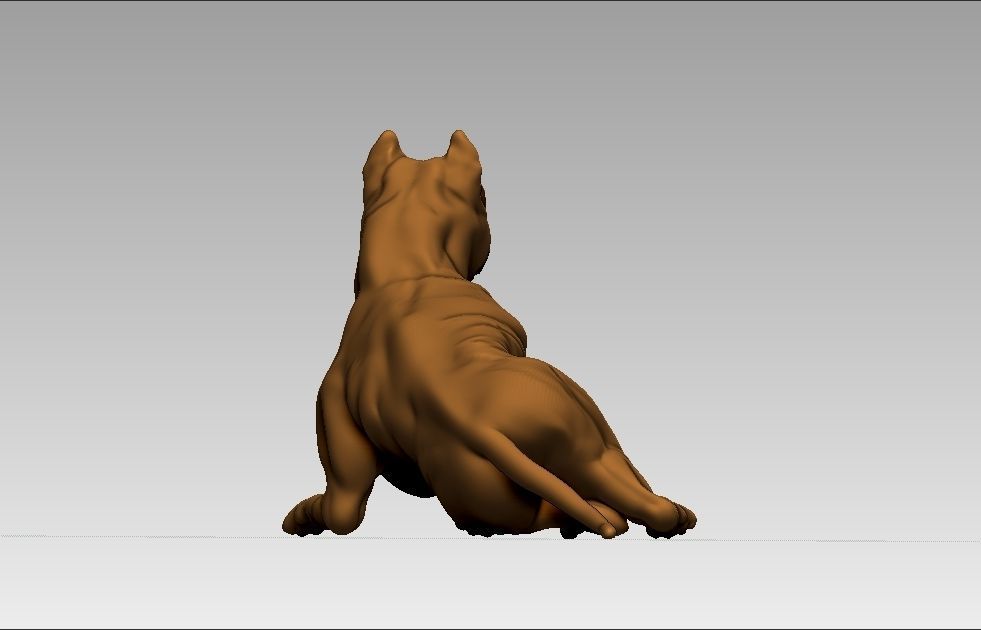 American pitbull terier sitting relaxed lying 3D print model_7