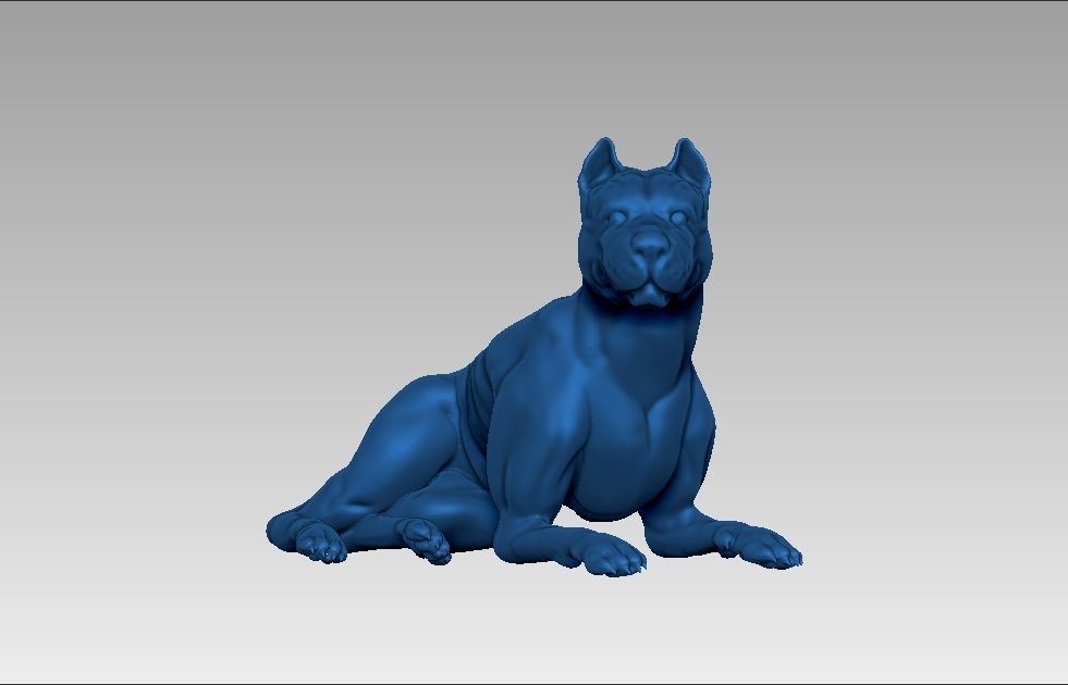 American pitbull terier sitting relaxed lying 3D print model_14