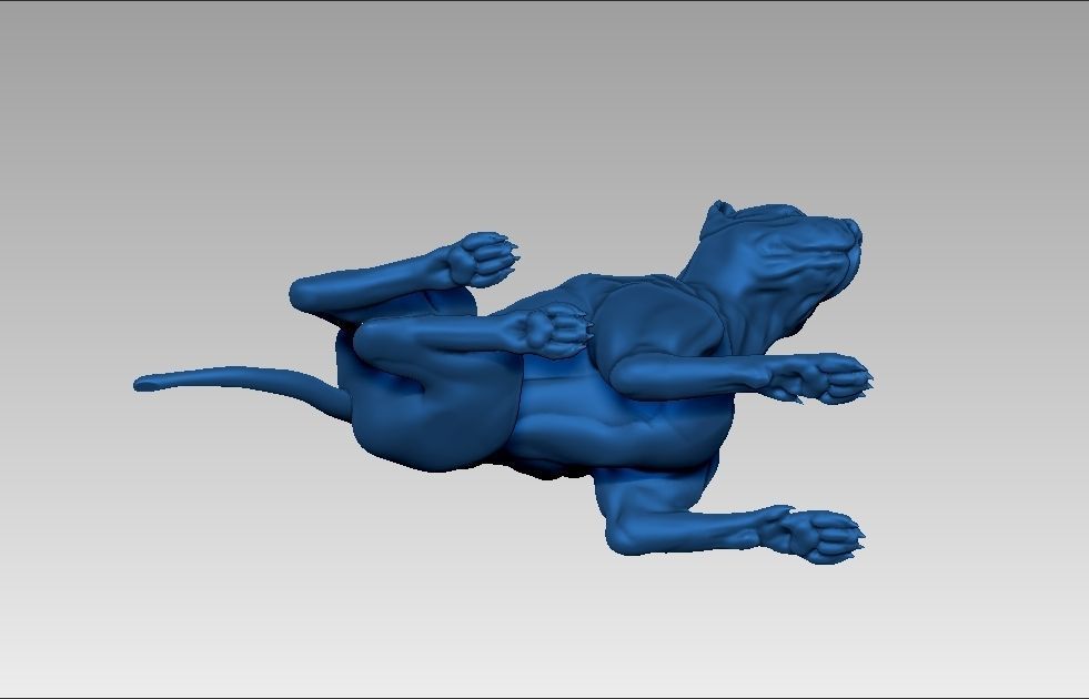American pitbull terier sitting relaxed lying 3D print model_27