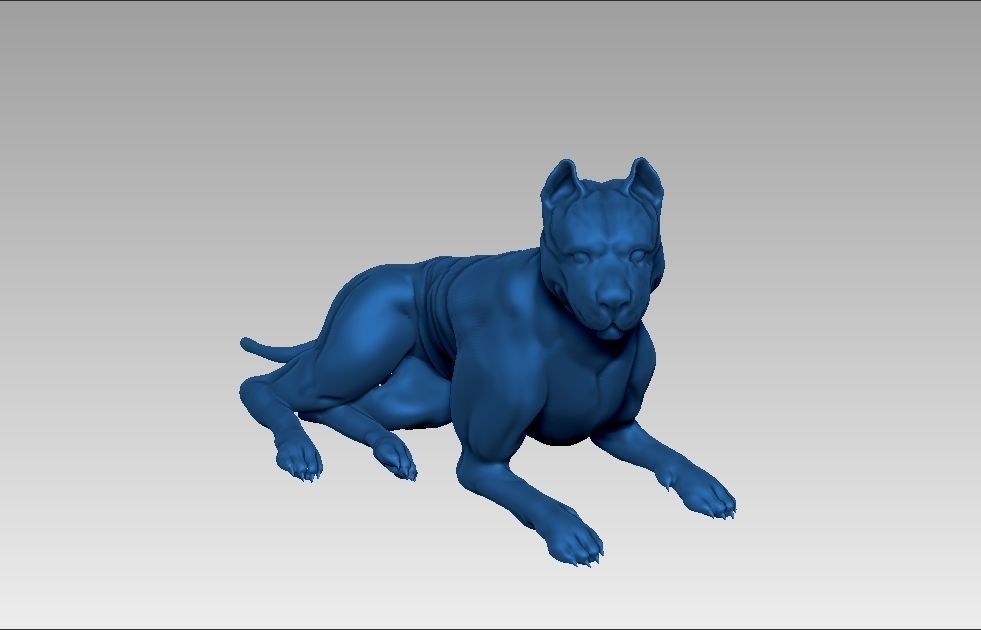 American pitbull terier sitting relaxed lying 3D print model_16
