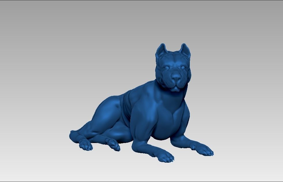 American pitbull terier sitting relaxed lying 3D print model_15