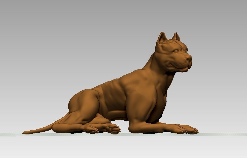 American pitbull terier sitting relaxed lying 3D print model_12