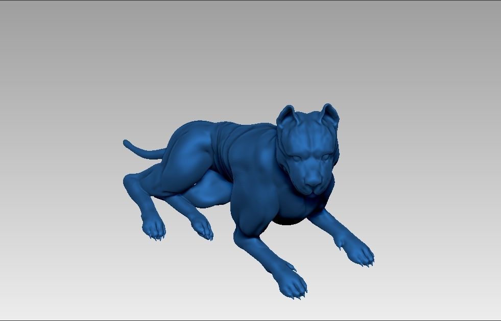 American pitbull terier sitting relaxed lying 3D print model_17