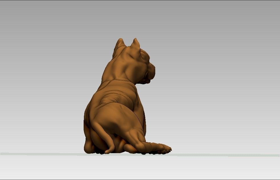 American pitbull terier sitting relaxed lying 3D print model_8