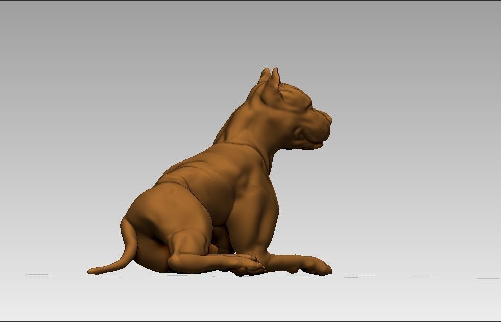 American pitbull terier sitting relaxed lying 3D print model_9