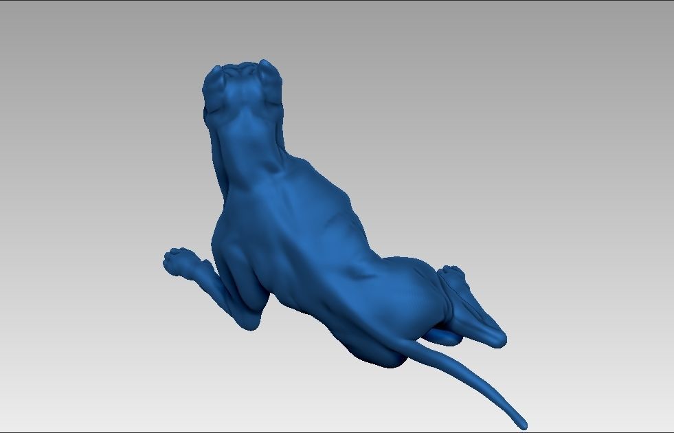 American pitbull terier sitting relaxed lying 3D print model_24