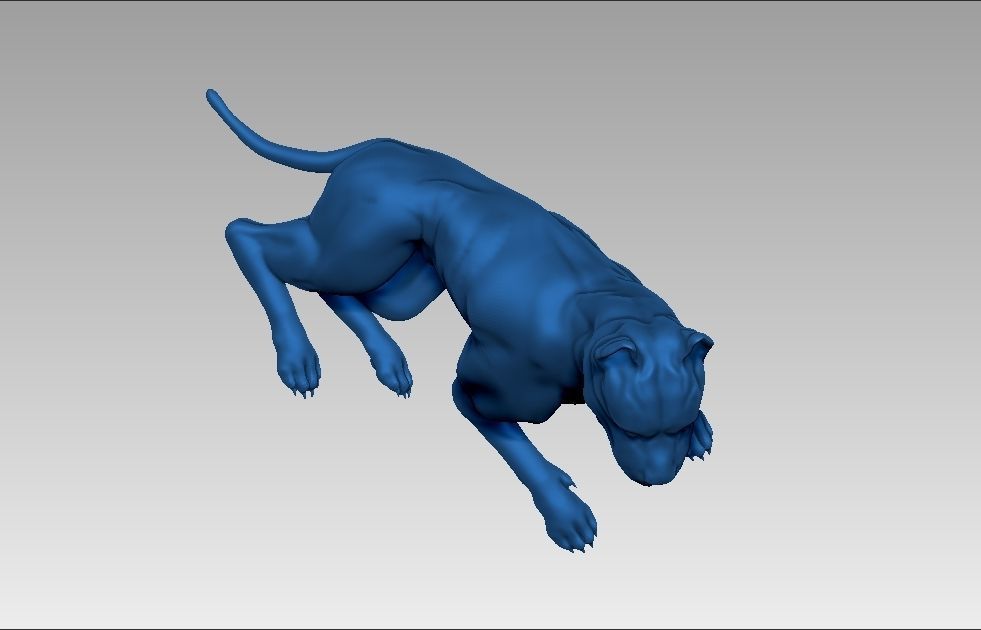 American pitbull terier sitting relaxed lying 3D print model_20