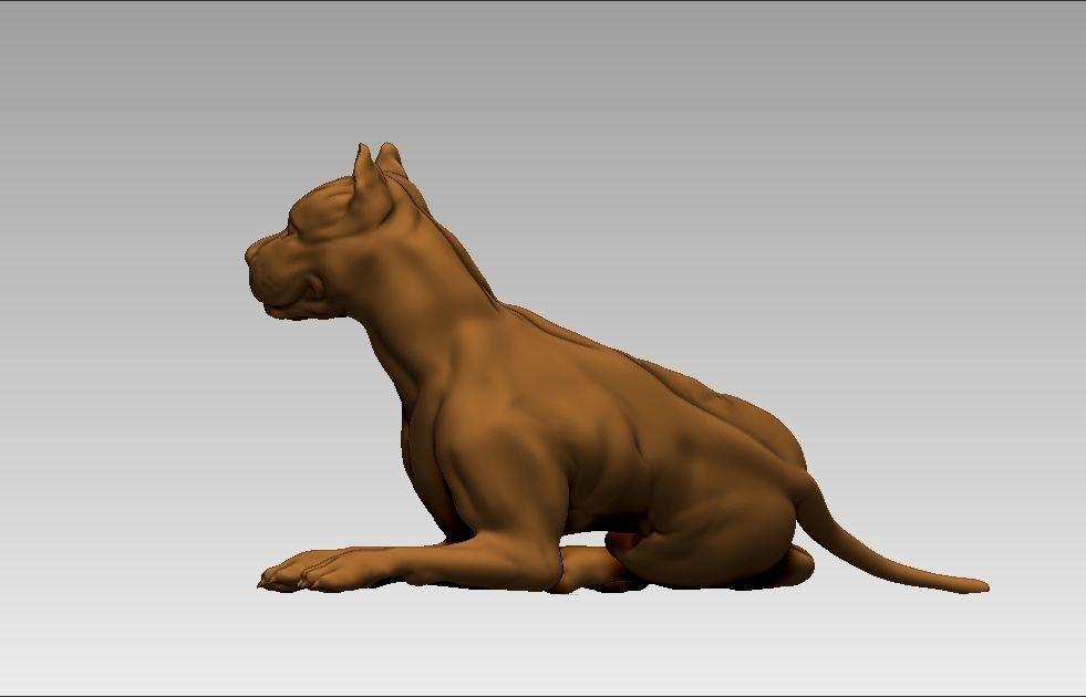 American pitbull terier sitting relaxed lying 3D print model_2
