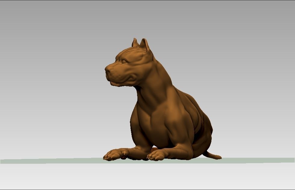 American pitbull terier sitting relaxed lying 3D print model_39