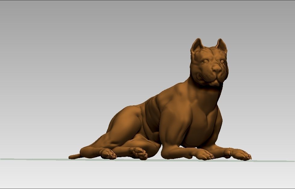 American pitbull terier sitting relaxed lying 3D print model_34