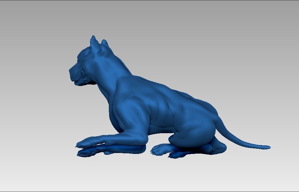 American pitbull terier sitting relaxed lying 3D print model_35