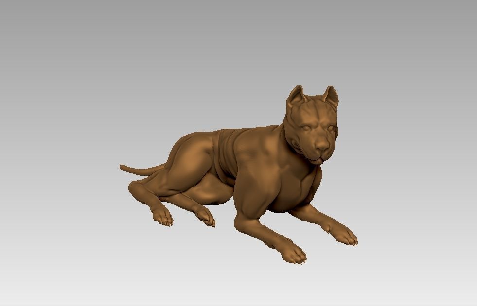 American pitbull terier sitting relaxed lying 3D print model_11