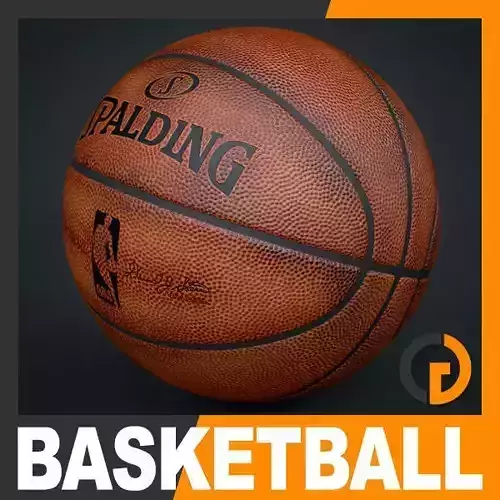 Spalding NBA Official Used Dirty Basketball Game Ball