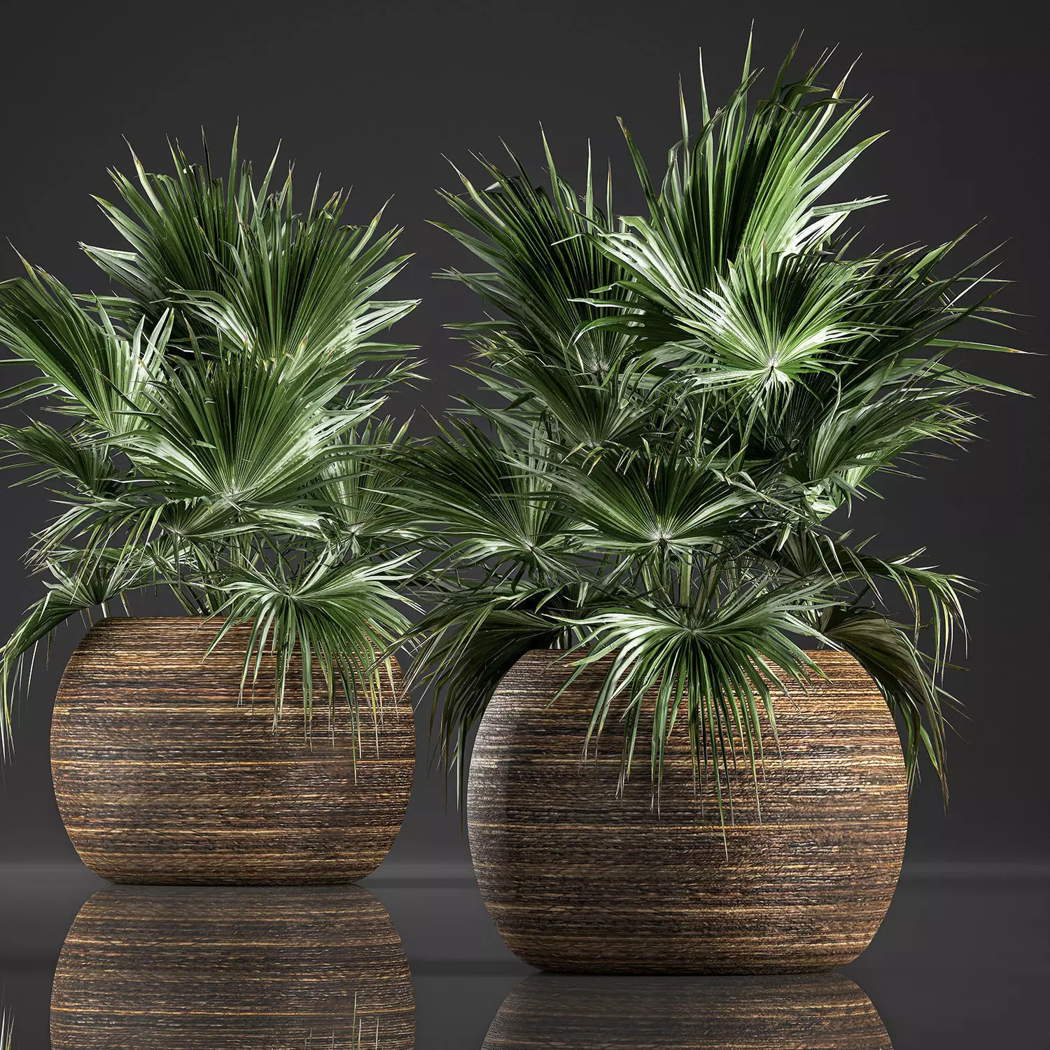 Decorative palm in a basket 822 3D model