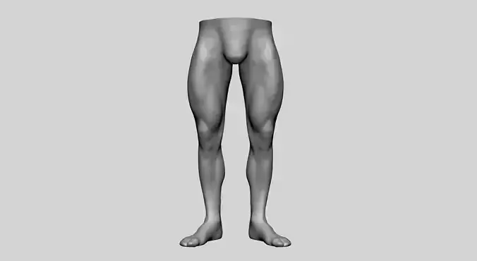Bodybuilder Leg