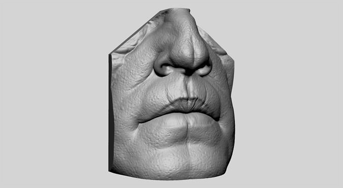 Male Nose Lip 3D print model