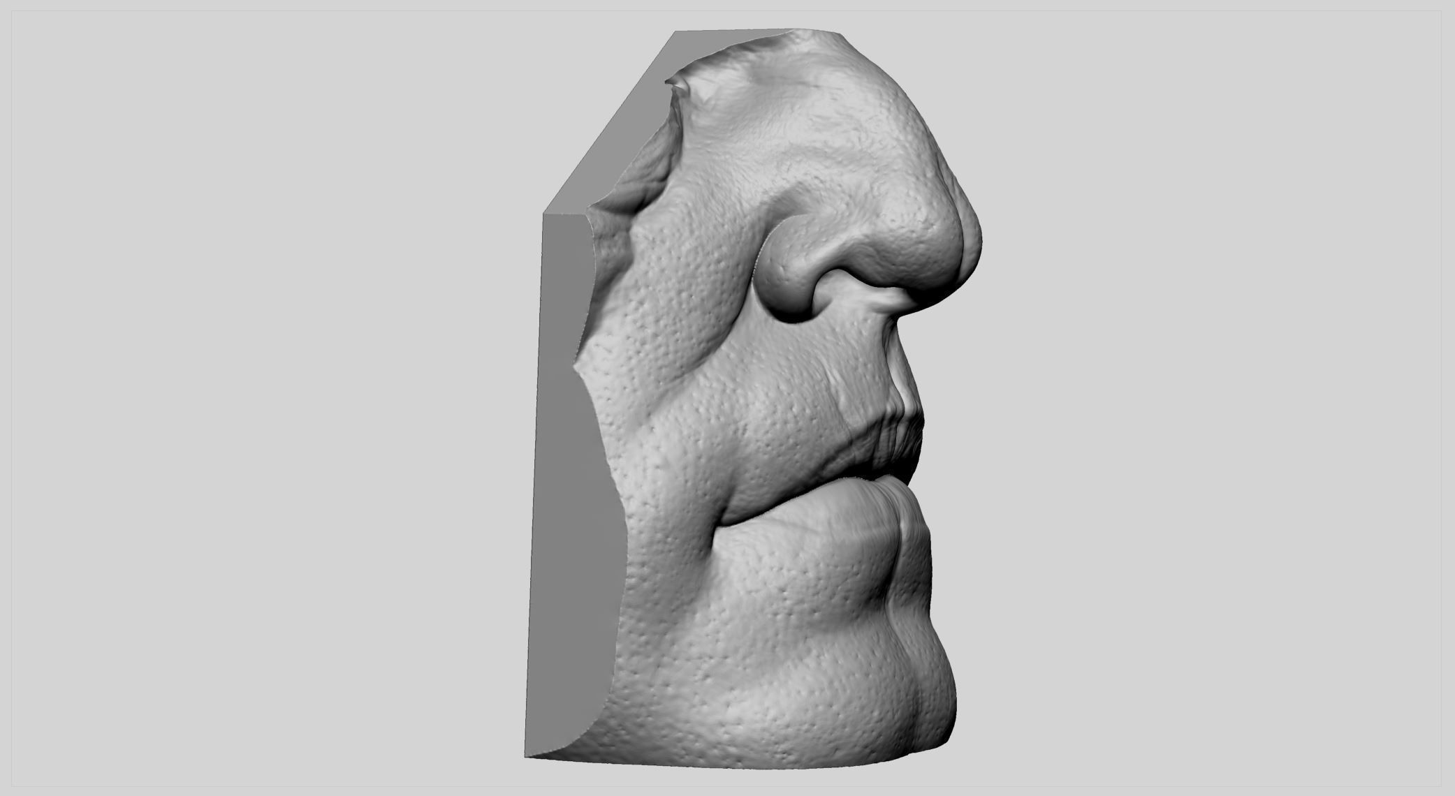 Male Nose Lip 3D print model_1