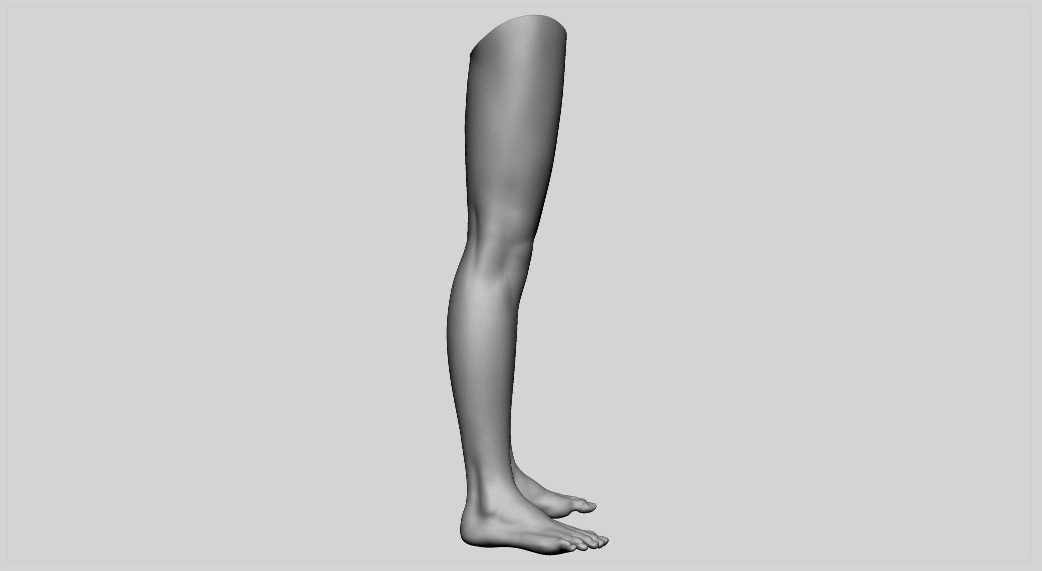 Female Leg 3D model_2