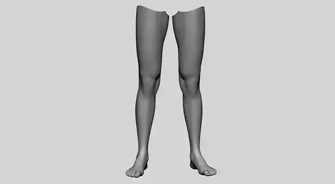 Female Leg 3D model Female Leg 3D model