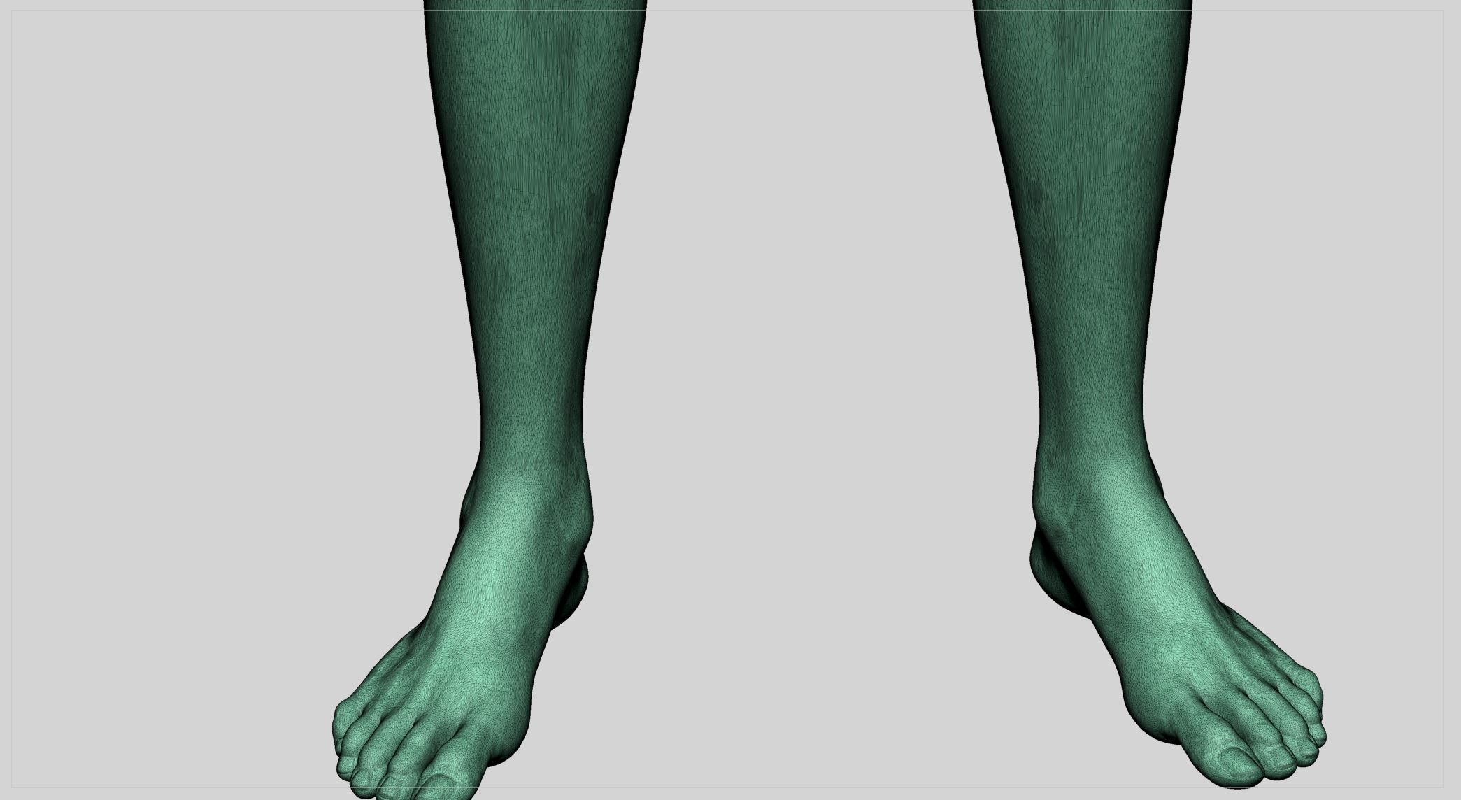 Female Leg 3D model_8