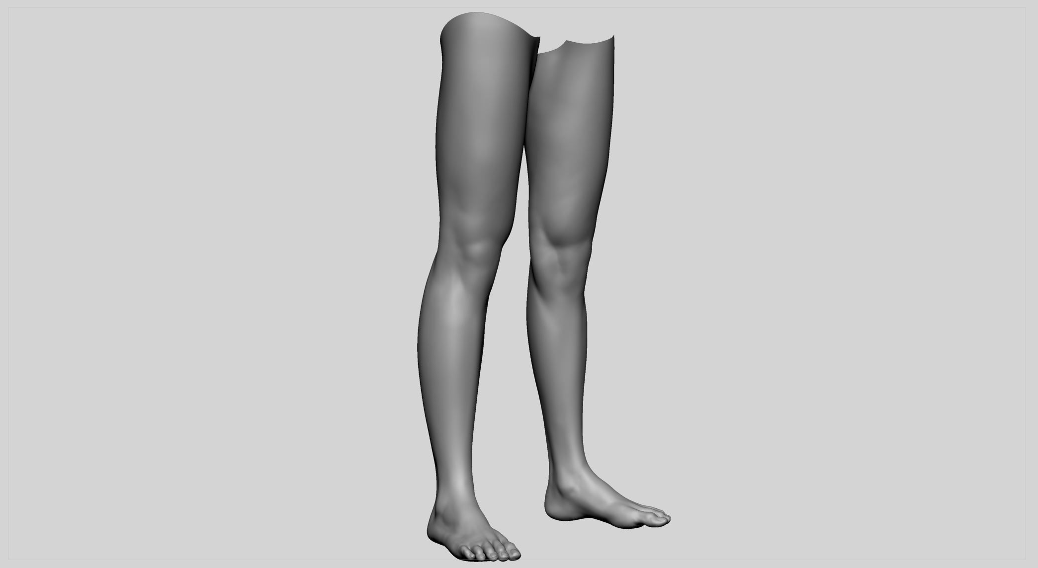 Female Leg 3D model_1