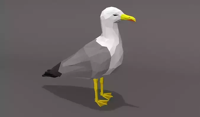 Seagull Cartoon