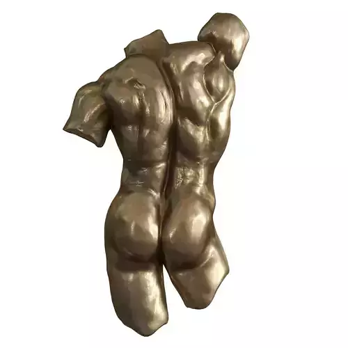 Nude Torso Wall Sculptures