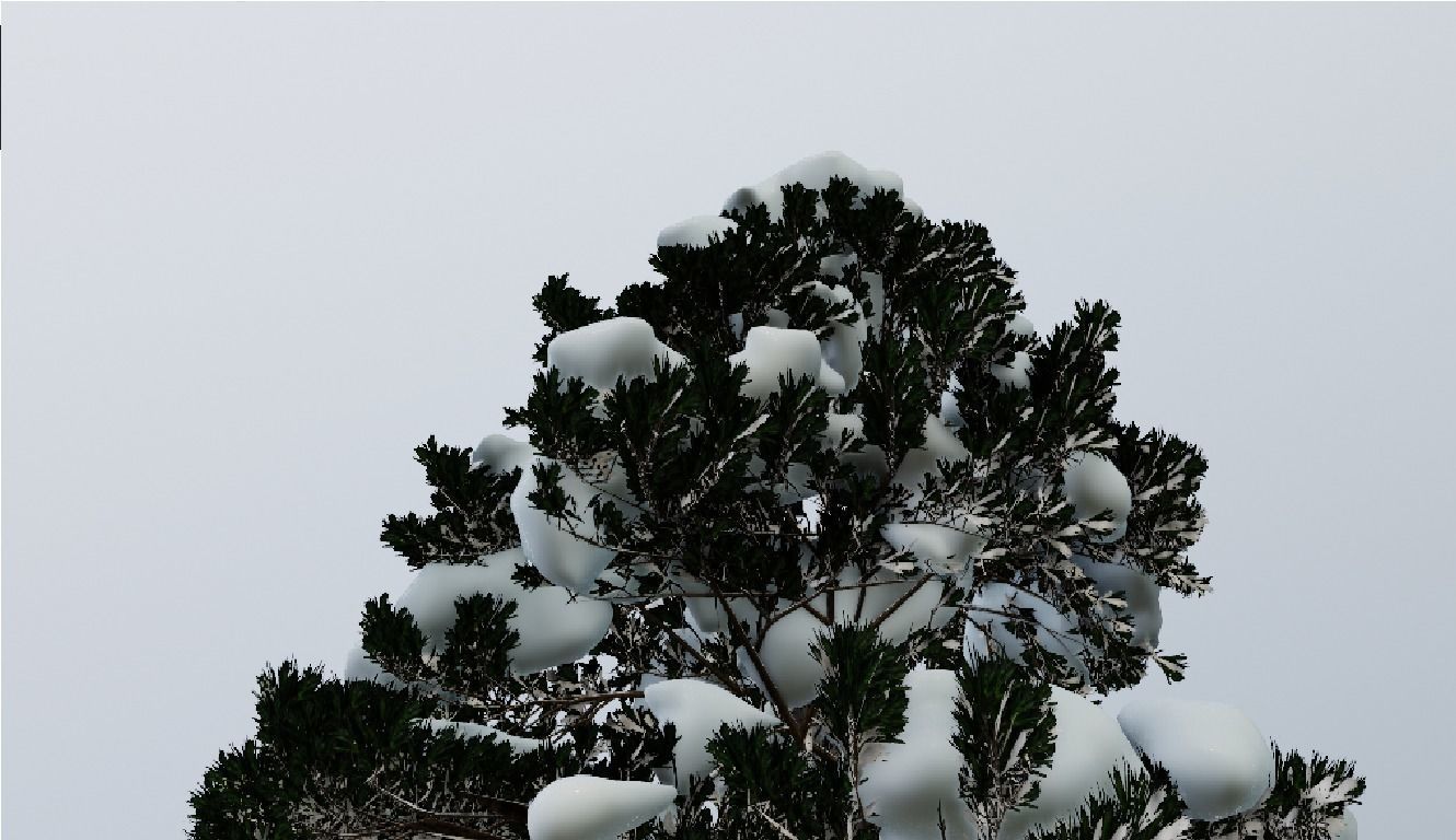 Pinus-winter snowball flying in air 3D model_1