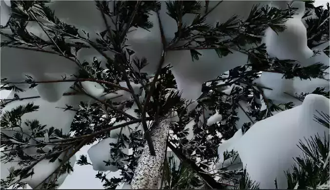 Pinus-winter snowball flying in air