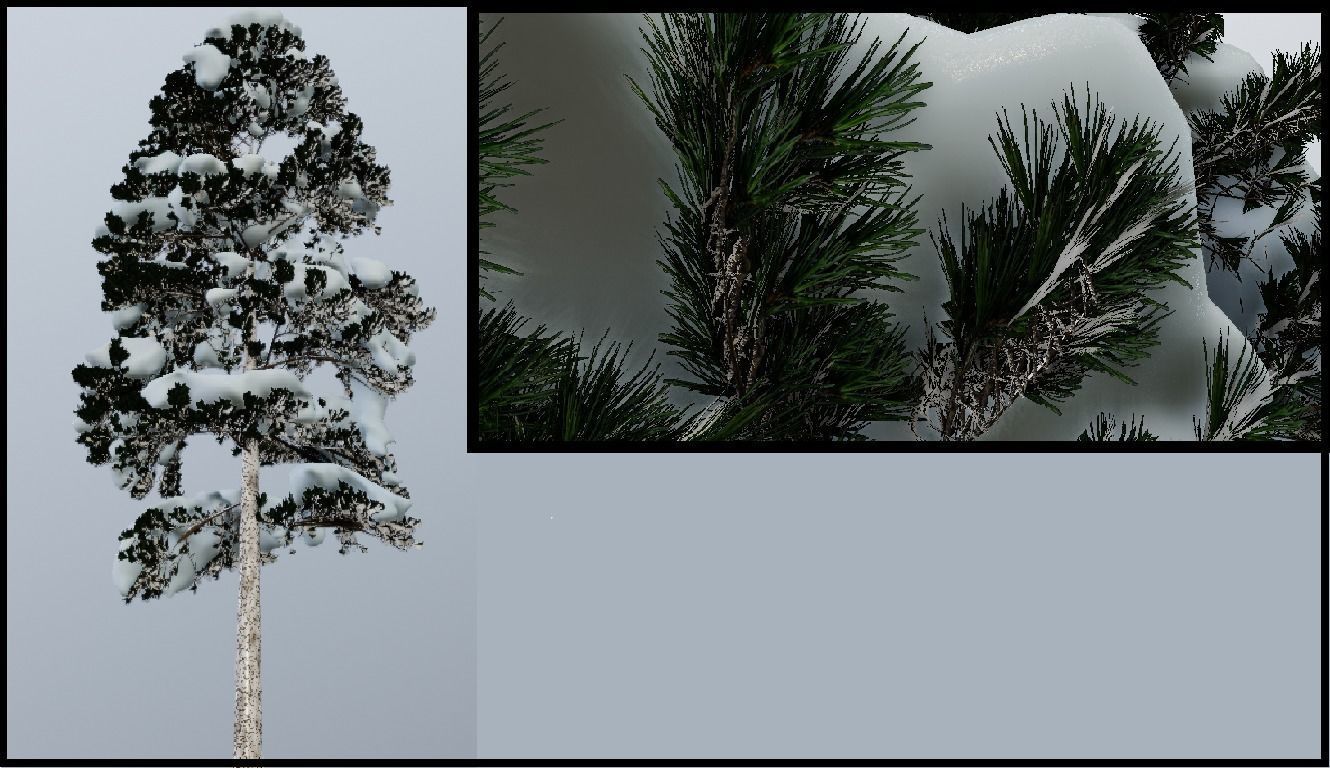 Pinus-winter snowball flying in air 3D model_3