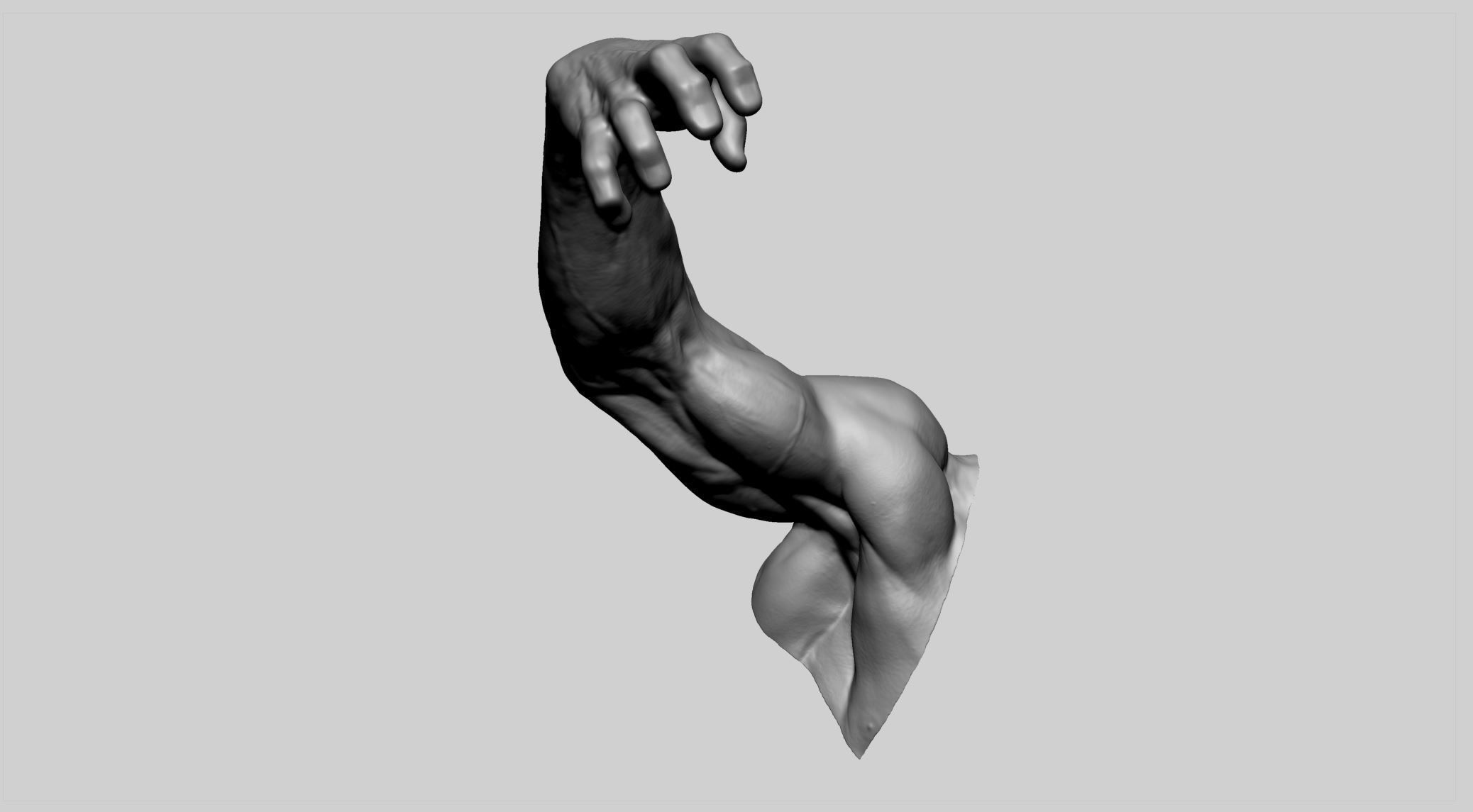 Human Arm 3D print model_6