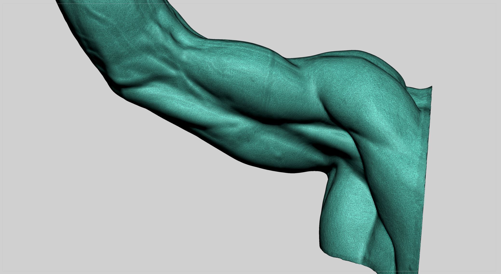 Human Arm 3D print model_7