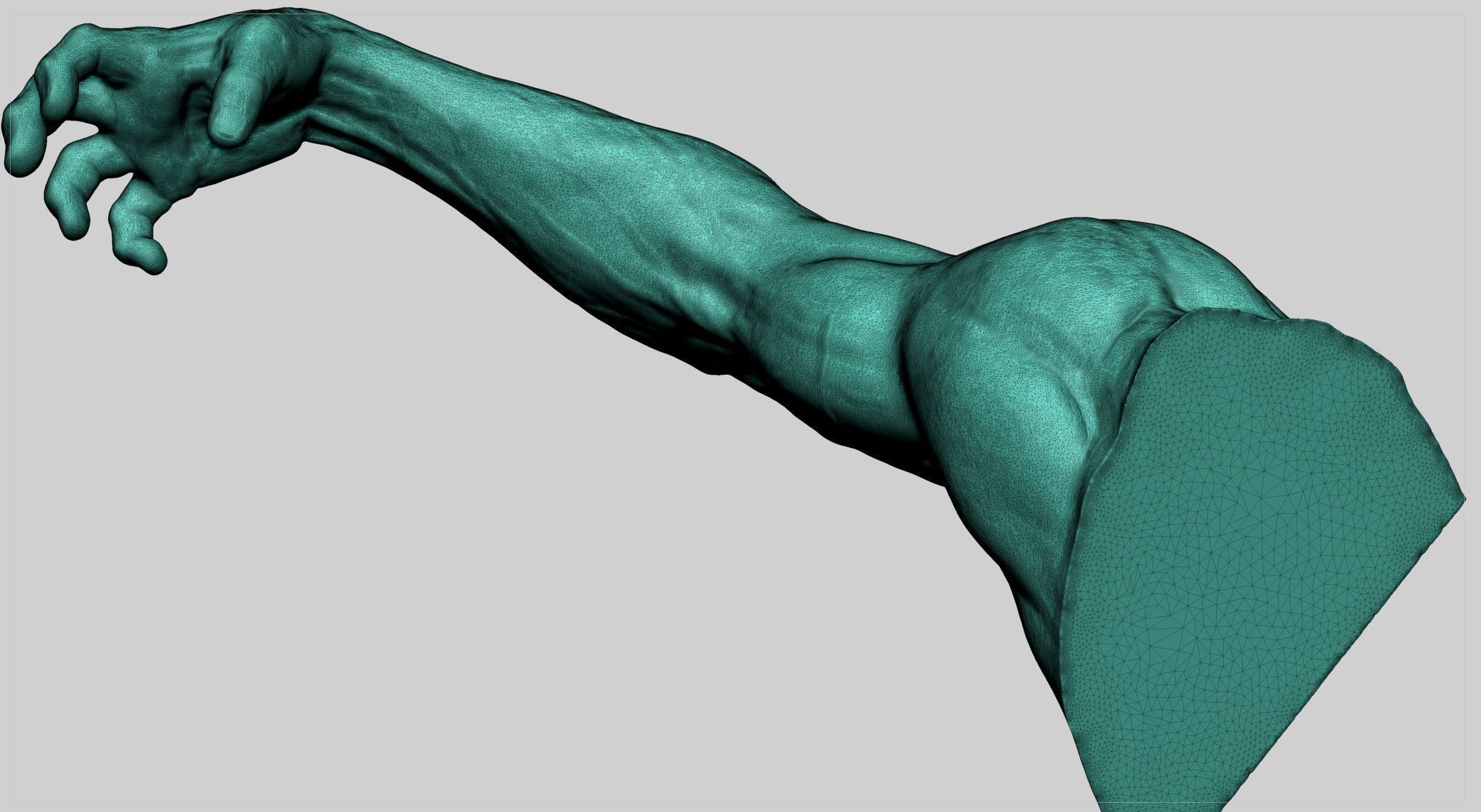 Human Arm 3D print model_8