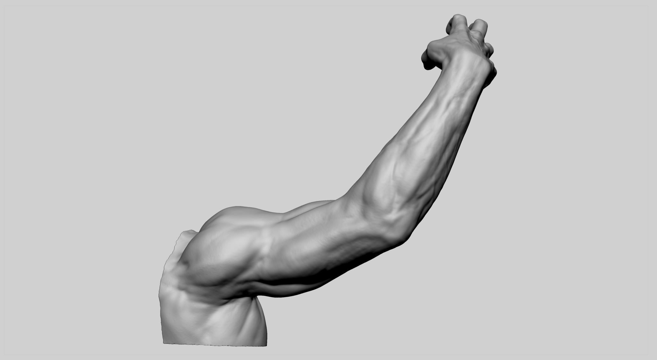 Human Arm 3D print model_3