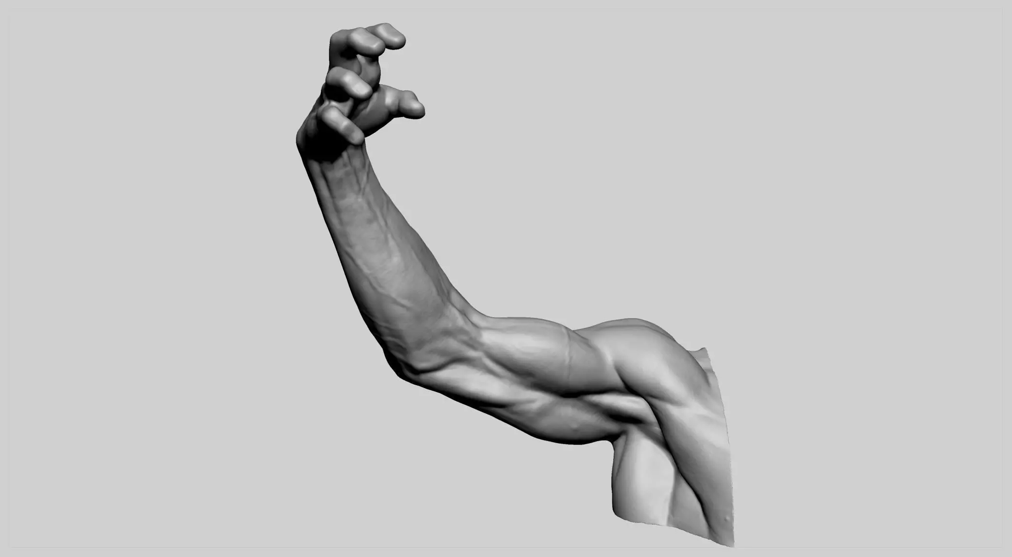 Human Arm 3D print model_0