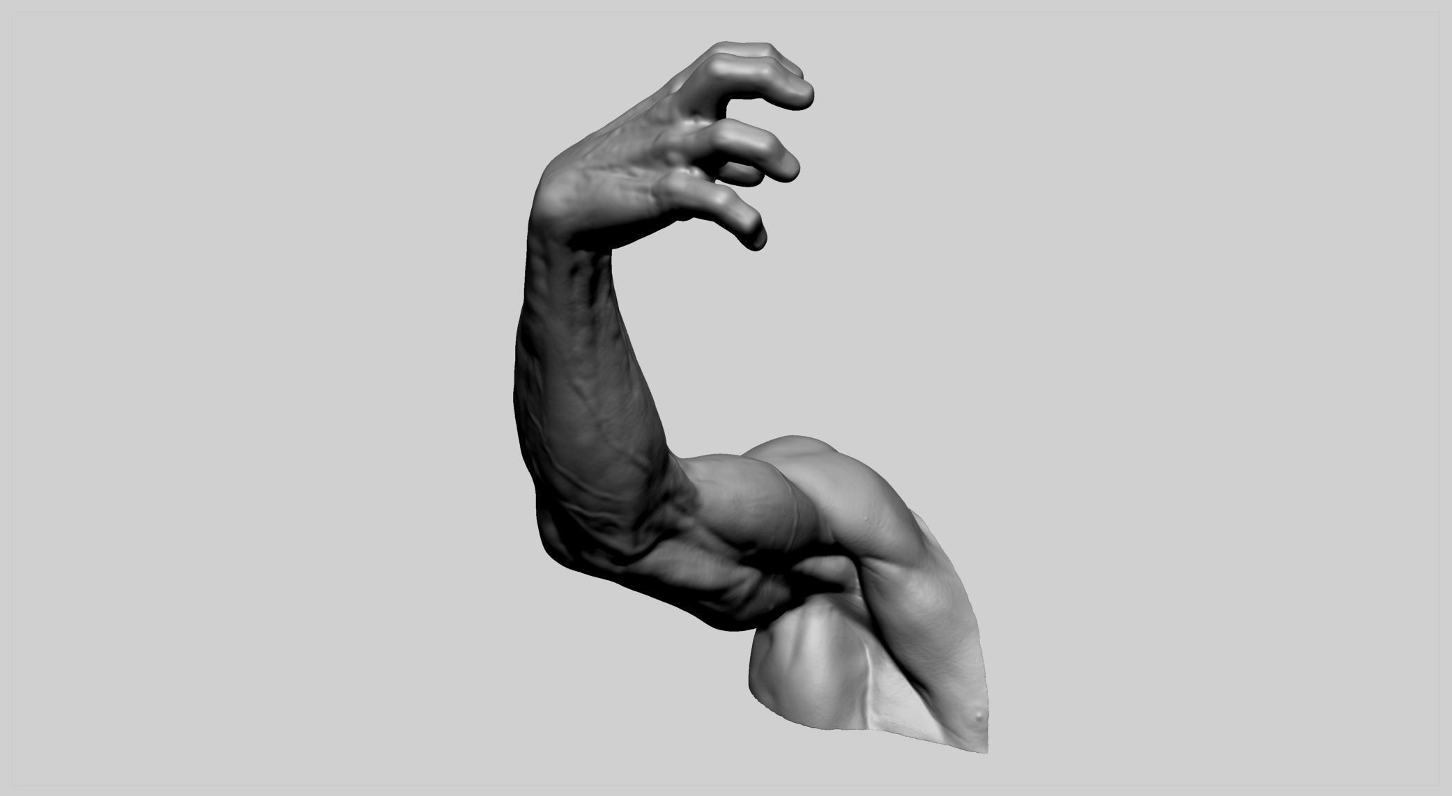 Human Arm 3D print model_1